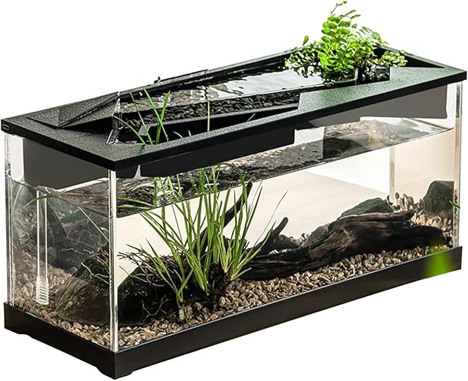 Acrylic Aquarium – Clear Cube Tank, Air Circulation Pump | Starter Kit with Lighting System, Silent Filter Housing, Desktop Pet Environment for Bedroom Studio Shelf Decor, Easy-Maintain Bow