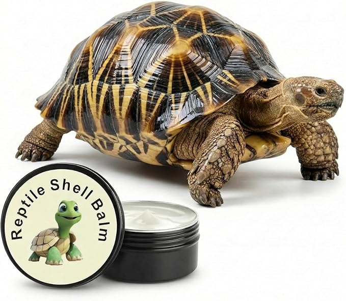 KR. LIF Tortoise Shell Conditioner & Balm 2.5 oz Turtle Shell Care Cream for Sulcata Tortoise Reptile Ointment – Non-Toxic Moisturizer for Dry or Cracked Shell