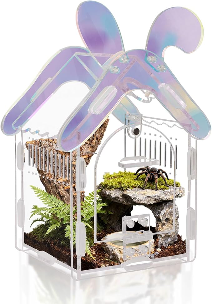 Acrylic Jumping Spider Enclosure with Magnetic Lock, 3mm Clear Terrarium for Tarantula, Mantis, Scorpion | Escape-Proof, No Tool Assembly
