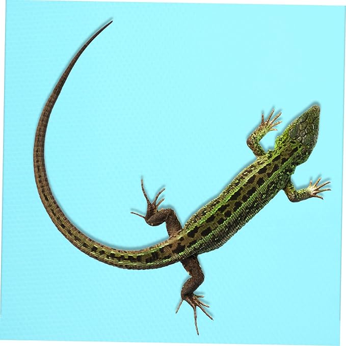 BESPORTBLE Leopard Print Reptile Carpet Bearded Dragon Gecko Snake Tank Mats Eva Material Terrarium Liner Pet Supplies