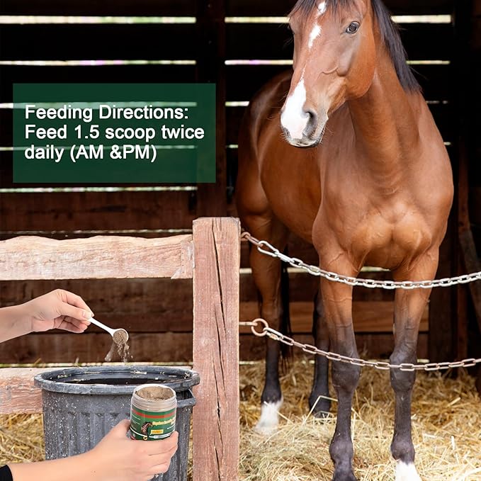 Insulin Resistance Supplement for Horses - Horse Laminitis Treatment-Natural Laminitis Herbal Powder for Sore Feet & Chronic Laminitis, 0.83lb (40-Day Supply)