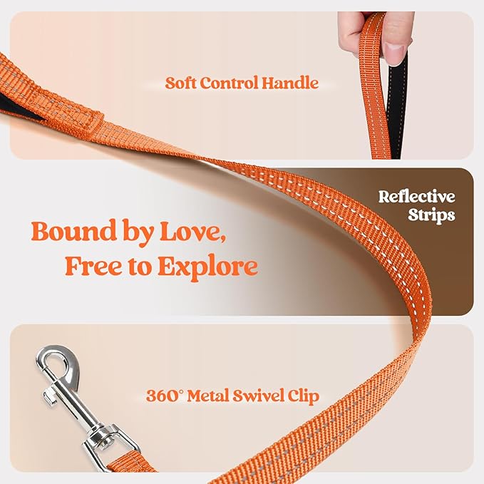 rabbitgoo Dog Harness Small Sized and Leash Set, Step in Soft Light Puppy Vest, Breathable Mesh Pet Harness, Reflective for Safe Easy Walking, Orange XXS