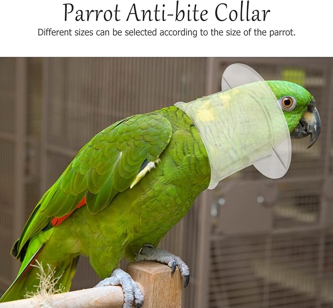 Baluue Parrot Neck Collar, Plastic -bite Collar Clear Feather Protector Prevent Grab Lick Healing Safety Cone Collar for Macaw Cockatoo Parrot Large