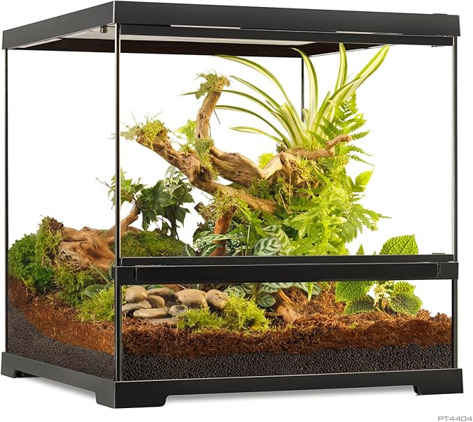 Pro Terrarium Small Wide. Advanced Natural Terrarium
