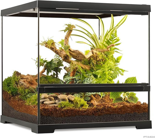 Pro Terrarium Small Wide. Advanced Natural Terrarium