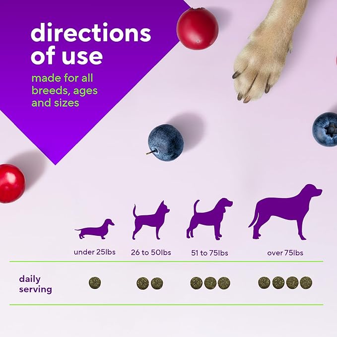 VitaFusion for Dogs Superfood Multivitamin – Daily Immune, Skin & Bone Support with Vitamins A, D & E + Antioxidant Superfoods – Vet Formulated Wellness for Puppies to Senior Dogs, 120 Chews.