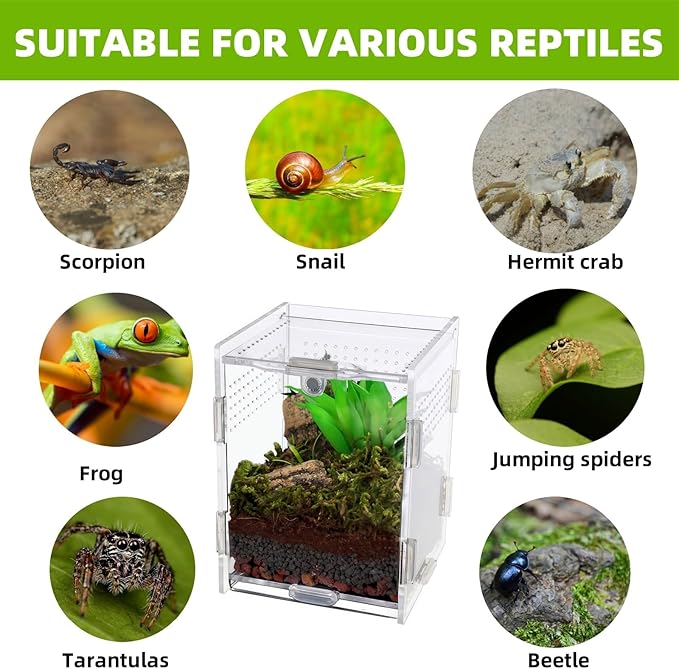 Acrylic Jumping Spider Enclosure with Magnetic Top & Escape-Proof Vents - Small Critter Keeper 4.5x3.3x3.3 Inch for Hermit Crab Frog Tarantula Mantis - Reptile Tank Habitat High Clarity Terrarium