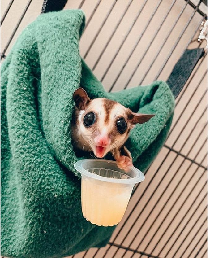 Exotic Nutrition Forest Pouch Set - Hammocks and Bedding for Sugar Gliders, Rats, Ferrets, Chinchillas, Squirrels, Marmosets, Hamsters, Gerbils & Small Animals