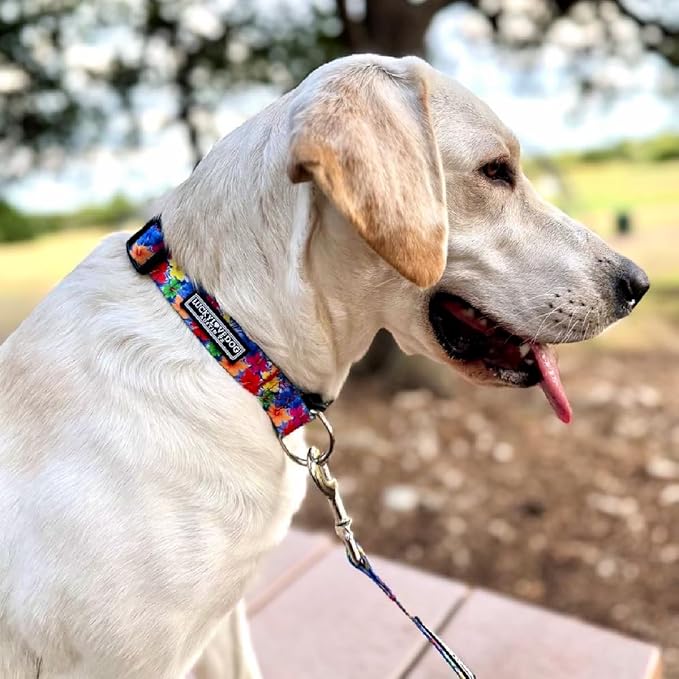 Lucky Love Dog - Easy Click Buckle Dog Collar with Leash Set Combo, Durable & Comfortable for Male & Female Dogs, Pet Collar for Small Dogs, Secure Fit - Hana Combo, Small