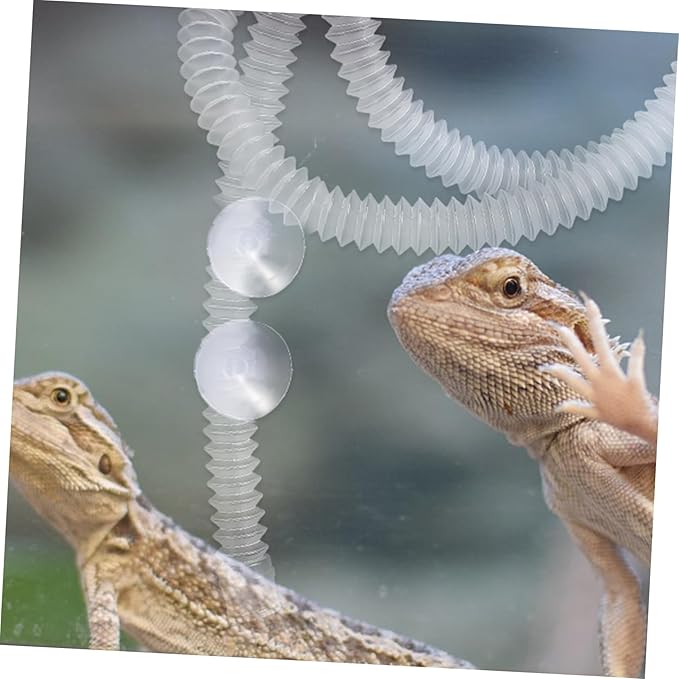Kisangel 1Set Reptile Humidifier Extension Hose with Cup Durable Flexible for Reptiles and Amphibians Compact Design for Easy Installation Containers