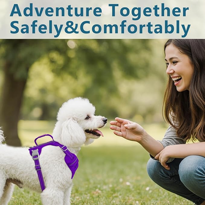 BARKBAY Dog Harness No Pull Oxford with ID Tag Pocket - Heavy Duty, Reflective, Easy Control for Large Dogs(Purple Oxford,S)