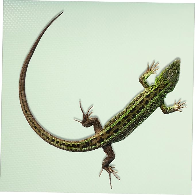 Reptile Substrate Carpet Mat for Bearded Dragon Tortoise Lizard Tank Easy-Cut Terrarium Bedding Comfortable Resting Surface and Flooring for Reptile Enclosures