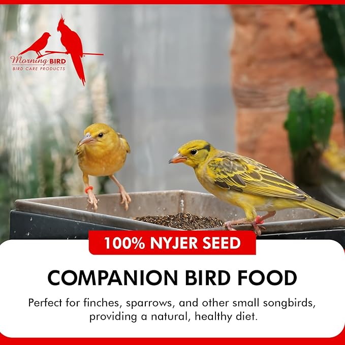 Morning Bird Nyjer Seed for Birds 9 lbs – Energizing Nutrition with Rich Natural and Healthy Fats – Ideal Bird Food for Breeding & Molting – Great for Canaries, and Other Seed-Eating All Birds