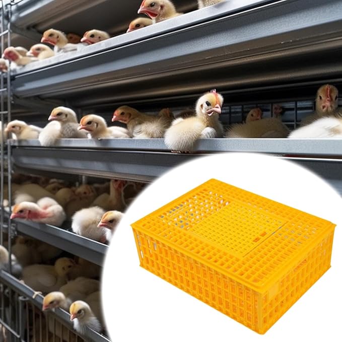 Poultry Crate for Transporting Birds, and Hamsters, Yellow