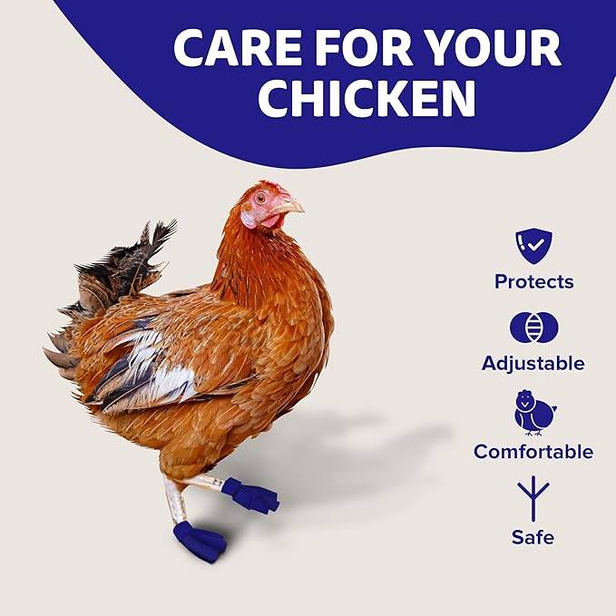Chicken Shoes for Injured Feet – Protective Neoprene Footwear for Chicken, Open-Toe Design for Bumblefoot Relief, Made in USA - Large, 4" Max. Inside Width, Royal Blue