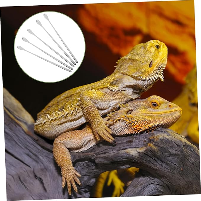 Abaodam 5pcs Lightweight Reptile Food Spoons for Lizard Feeding Portable Feeding Tools for Small Animals for Reptile Tanks and PET Care