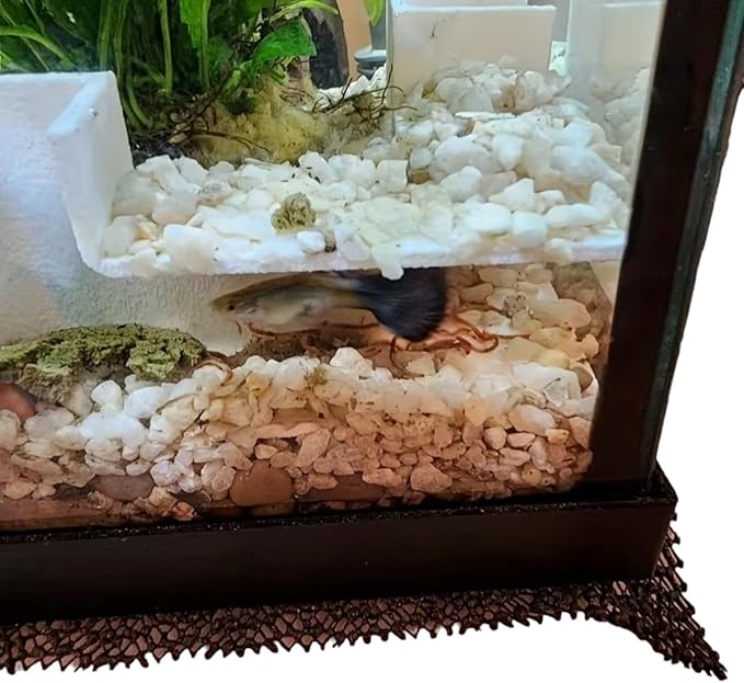 Aquarium Decoration, Axolotl Hide Corner Fish Tunnel, Cave for Fish, Loach, Pleco, Snake, Terrarium