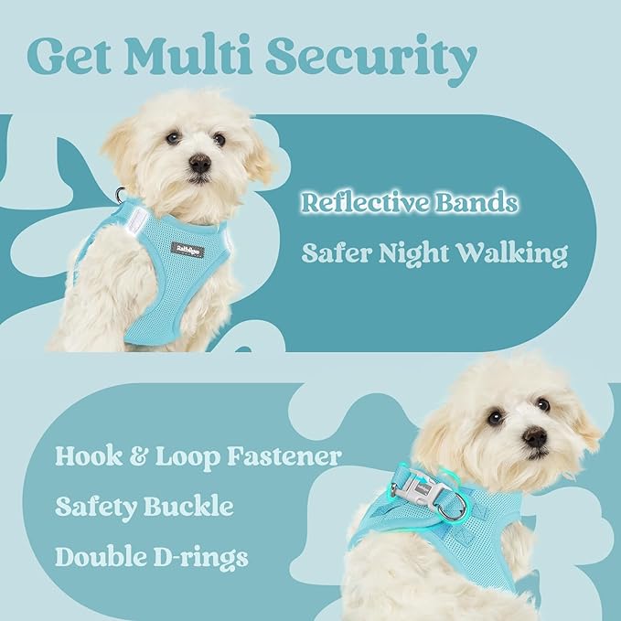 rabbitgoo Small Dog Harness, Step-in Soft Mesh Puppy Vest with Safety Buckle, Breathable Reflective Pet Harness for Large Dogs, Mint Blue XXL