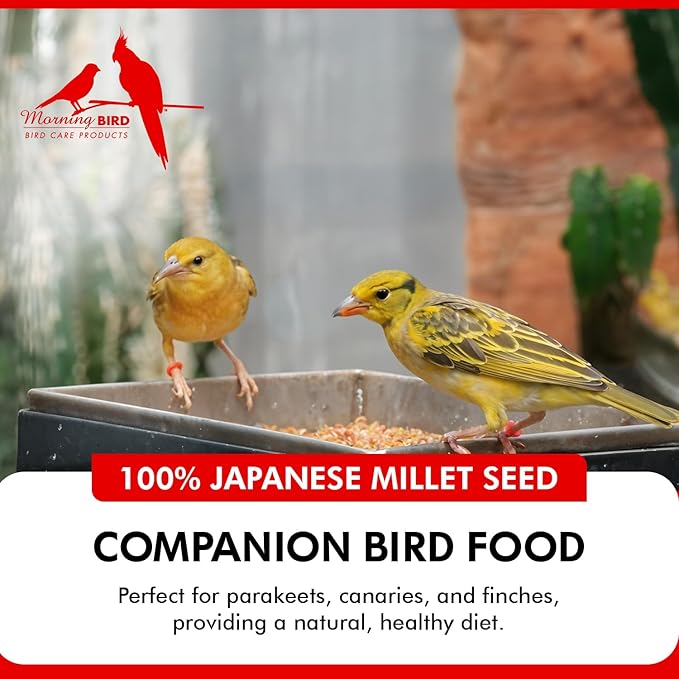 Morning Bird Japanese Millet Seed Bag 4.5 lbs (3-Pack, 1.5 lbs Each) - Healthy & Nutritious Pet Bird Food to Support Health & Immunity – Ideal Bird Feed for All Seed-Eating Birds