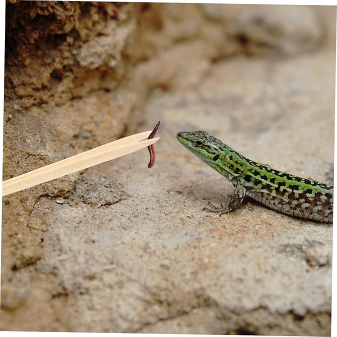 balacoo Bamboo Tweezers for Reptiles Lightweight Feeding Tool for Lizards and Turtles Flexible Design for Safe and Convenient Use Durable Feeding Clip for Terrarium Care