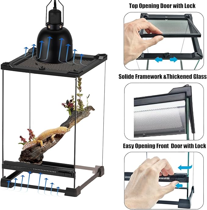 Woyrise Reptile Terrarium 8"x8"x12" Mini, Front-Opening Glass Tank with Mesh Lid & Escape-Proof Locks, 360° Vertical Enclosure with Gap Sealing Strip for Small Geckos, Frogs, Tarantulas, Lizards