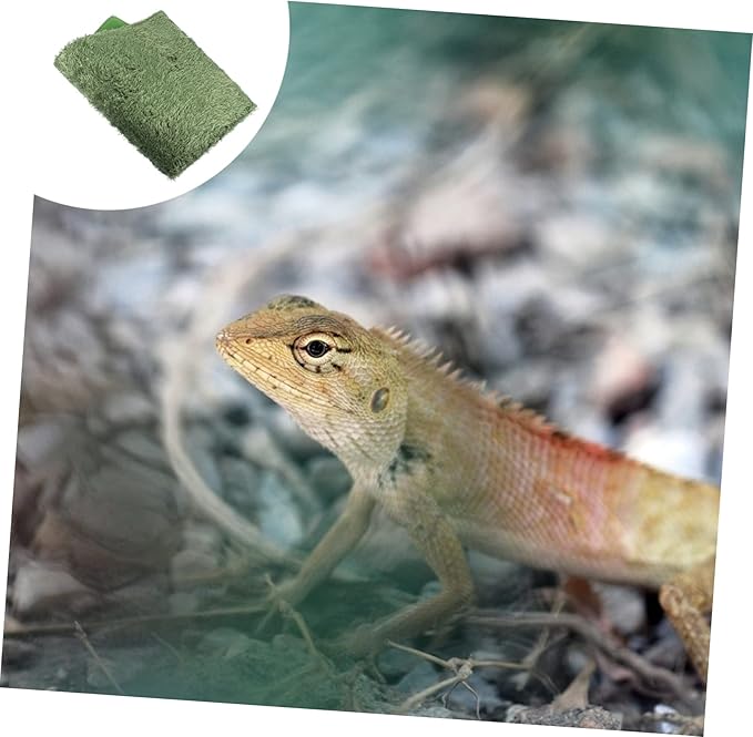 ORFOFE Terrarium Liner Bedding Reptile Carpet Mats for Terrarium Substrate 2pcs Reptile Moss Lizard Tank Accessories