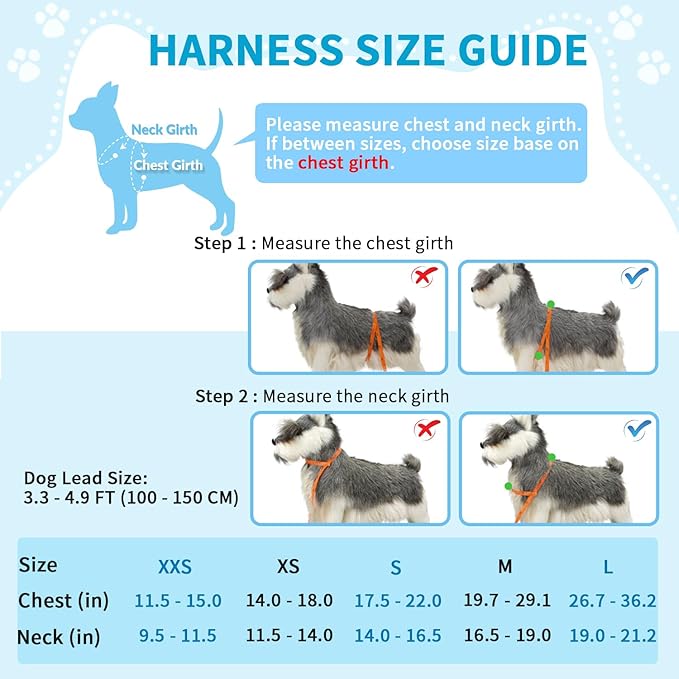 Lukovee No Pull Dog Harness and Leash Set, Soft Padded Small Dog Harness, Neck & Chest Adjustable Reflective Vest Puppy Harness with 4ft Lightweight Anti-Twist Dog Leash for Small Dogs (S, 01-LBL)