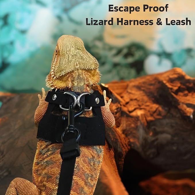 3 Pack Bearded Dragon Harness and Leash Set - Adjustable Soft Leather Lizard Harness Leash Small Animal Traction Rope Training Walking Vest Accessories for Reptile Squirrel Rat (Black)