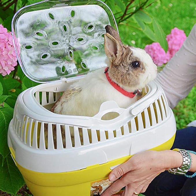 Ferplast Rabbit, Guinea Pig and Rat Carrier ALADINO Large, Large Pet Carrier for Hamster, Rodents, Rabbits, Transparent Cover with Comfortable Handle, Secure Closing, 36 x 26 x h 23 cm, Green