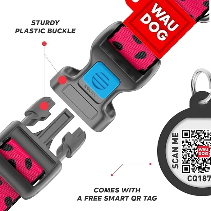 Nylon Dog Collar and Leash Set - Adjustable Dog Collar for Large Dogs, Small & Medium Dogs - Puppy Collars for Large Breed - Boy & Girl Collars with Durable Plastic Buckle and QR Tag