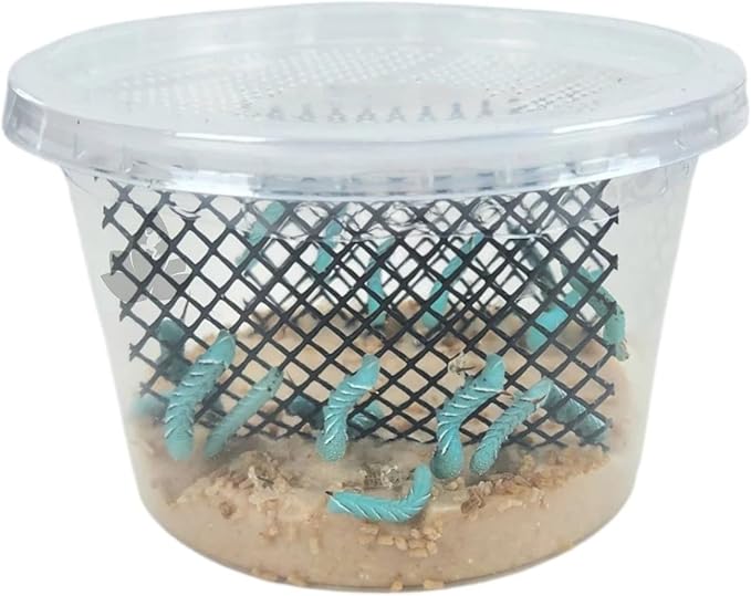 Josh's Frogs Hornworms Habitat Cup (12 Count Cup)