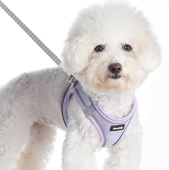 Sparkly Dog Harness Small Sized and Leash Set for Small Dogs Cats,Purple S Puppy Harness, Step in Soft Dog Reflective Vest, Breathable Mesh Pet Harness. (Purple, M)