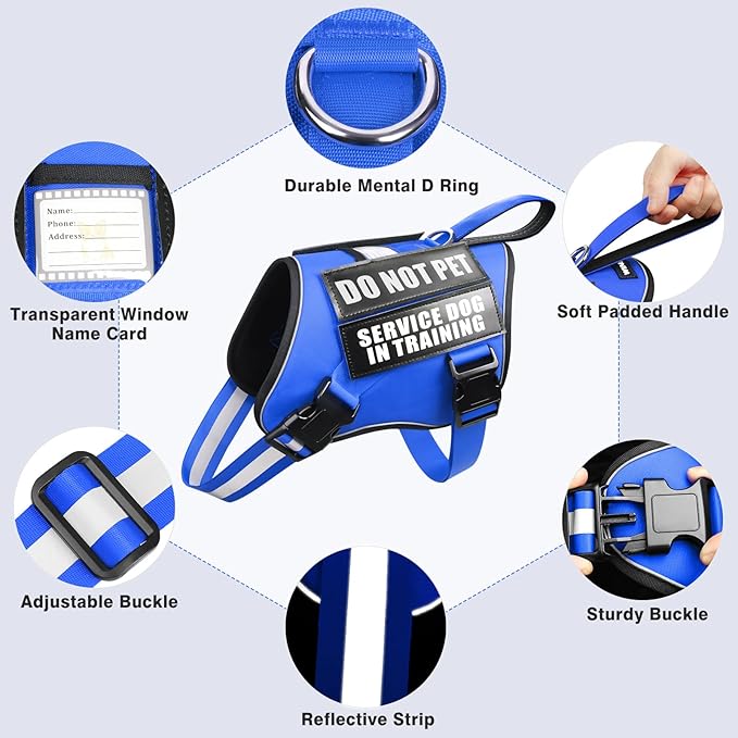 Service Dog Harness and Leash Set, Training Dog Vest with 10 Dog Patches, Emotional Support Therapy Dog Vest Harness for Small Medium Large and Extra Large Dogs(Blue, XS)