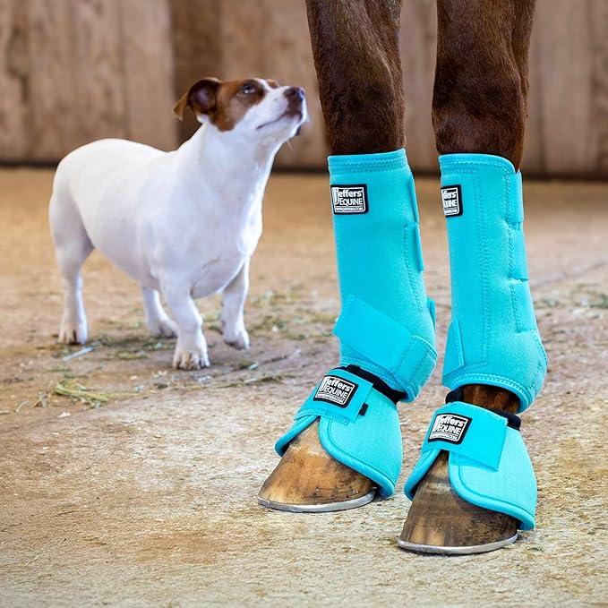 Jeffers Equine Protective Horse Boots, 1 Pair, Large - Safe Neoprene Leg Guards, Durable Strap Closures, Front & Hind Support, Equestrian Accessories for Travel & Riding - Turquoise