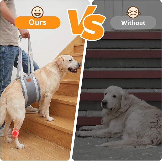 Adjustable Dog Lift Harness Dog Sling for Large Dogs Hind Leg Support Soft Lift Support for Weak Rear Legs, Helps Senior, Injured, Disabled, After ACL Surgery Dogs (Grey&Grey, Large)