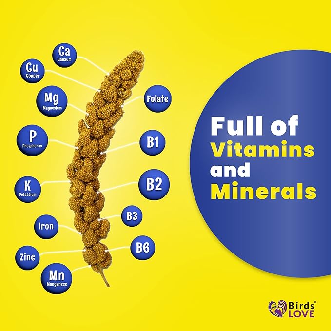 25lbs Economy & Special Spray Millet for Birds – GMO-Free, No Stems (Only Edible Tops) – 100% Natural Sun-Dried Foraging Treat for Cockatiels, Lovebirds, Parakeets, Finches & Canaries