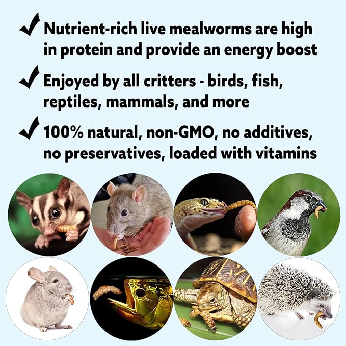 Mealworm Breeder Kit (Expanded) - Breed Live Feeder Worms for Hedgehogs, Sugar Gliders, Reptiles, Wild Birds, Chickens, Lizards, Bearded Dragon, Skunks, Opossum, Fish, Turtles, Tortoises, Geckos