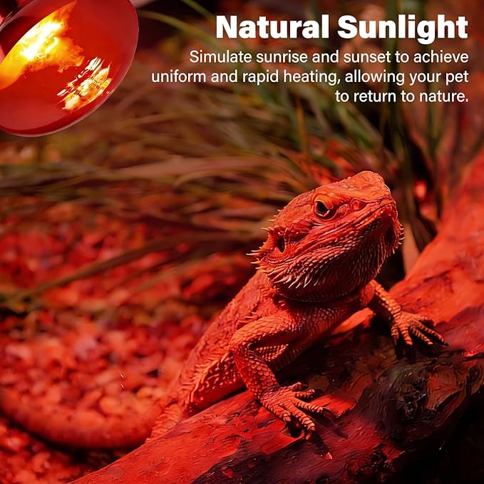 2-PCS Reptile Heating Light Bulb, Calcium Supplement Heating Light for Amphibians, Suitable for Sun Lamps for Reptiles, Maned Lions, Lizards, Turtles, and Snakes - 100W