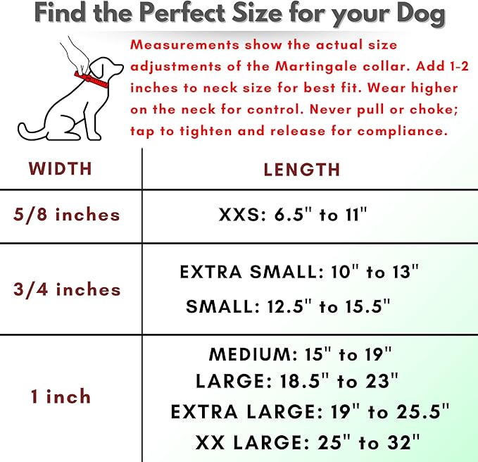 Martingale Collar for Dogs, Biothane, Stainless Steel Hardware, No Pull, Made in The USA, Professional Grade, XXS, Green