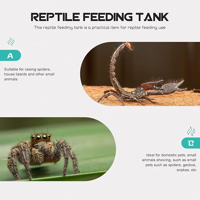 balacoo Reptile Breeding Box Acrylic Reptile Terrarium Cage Tank Tarantula Scorpion Sling Lizards Mantis