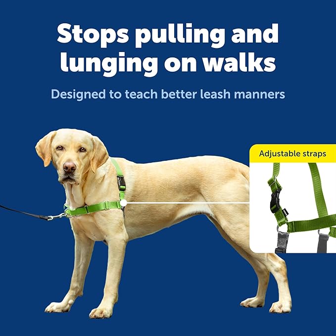 PetSafe Easy Walk Harness for Dogs - Pull-Free Walks - Patented Martingale Loop Design - Front Chest Leash Attachment - Comfort Straps - Breathable Harness Design - Large, Apple Green/Gray