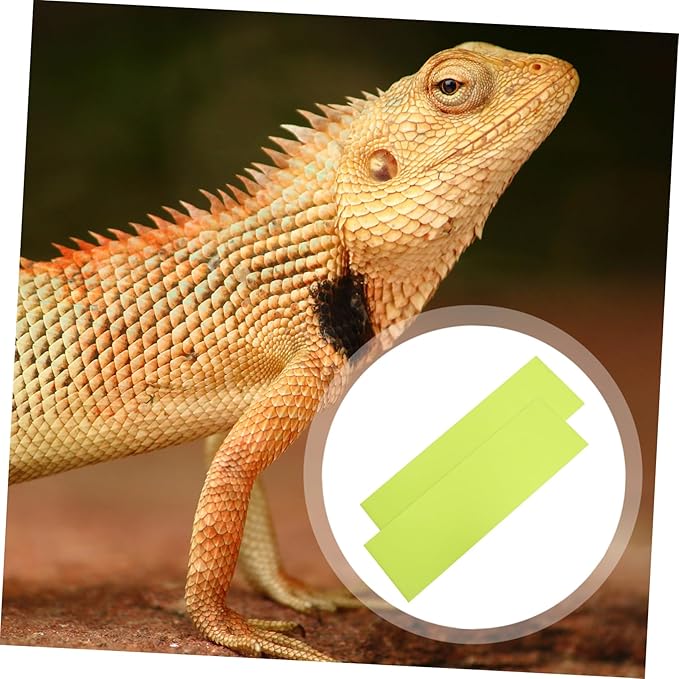 BESPORTBLE 2pcs Reptile Carpet Pad Oil Substrate for Terrarium Reptile Bedding for and Tortoise Habitat