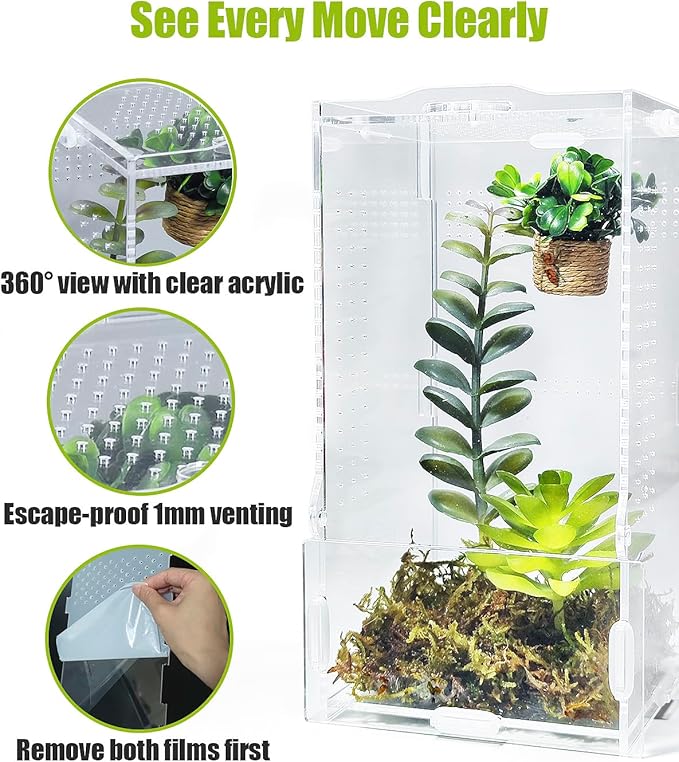 Jumping Spider Enclosure, Transparent Arboreal Tarantula Habitat, Praying Mantis Terrarium Critter Cage for Jumping Spider, Tarantula Slings, Mantis, Snail, Isopods, Beetles, Millipedes
