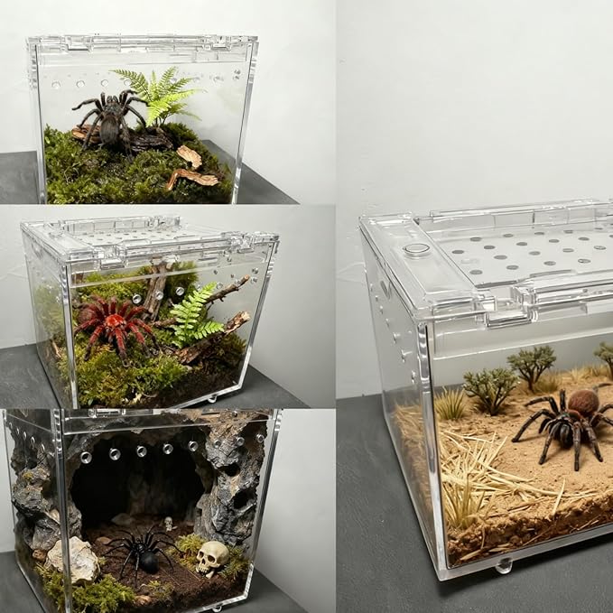 Mini Transparent PC Terrarium, Small Reptile Enclosure with Ventilation & Magnetic Closure for Jumping Spider, Tarantula, Hermit Crab and Other Small Pets