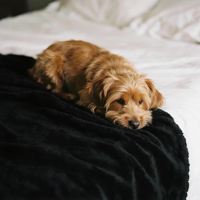 gogobunny Waterproof Bed Blanket, Reversible Sherpa Fleece Throw Blanket for Dog Puppy Cat, Furniture Cover Protects Bed Couch Sofa from Liquid Pee and Pet Fur (Black, 50x60 inches)