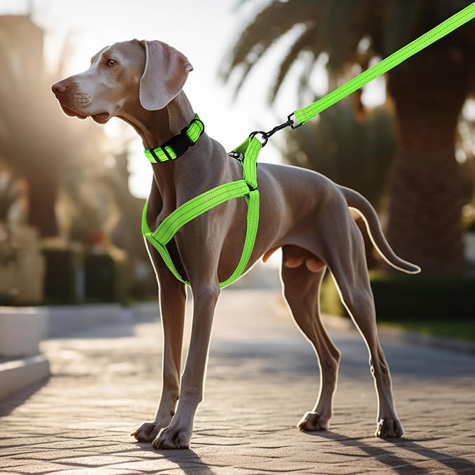 Mile High Life Night Reflective Double Adjustable Band Nylon Small Puppy Pet Dog Combo Collar Leash and Harness Set (Reflective Solid Lime Green, Large (Pack of 3))
