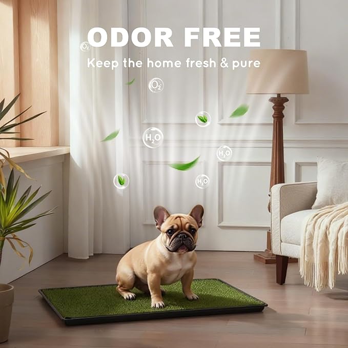 HQ4US 4LEGS Dog Grass Pad with Tray Large 34’’×23’’, Dog Litter Box with Odor Free Artificial Grass Pee Pads for Dogs Potty Tray with Hemmed Edge, Realistic for Indoor Balcony