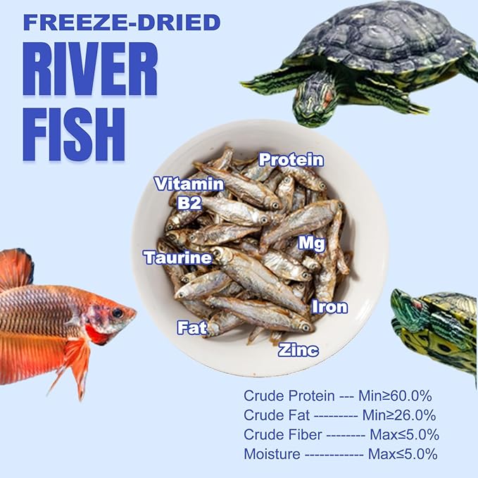 Amzey 3 Pack 0.8Oz (Total 2.4Oz or 68Gram Dried River Fish - Natural Food for Turtles, Terrapins, Reptiles and Large Tropical Fish