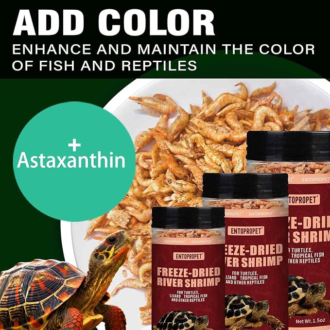 Freeze-Dried River Shrimp ?€? Premium Turtle Food, Reptile & Bird Treat ?€? High-Protein Shrimp for Turtles, Aquatic Pets, Tropical Fish, 1.5 oz