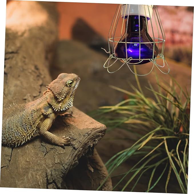 COLLBATH Heat Lamp to Prevent Burns Reptile Heating Lamp Net Cover Safe and Use